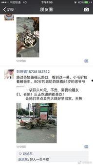 今日郑州最新爆料,揭秘城市热点事件背后的真相  第3张